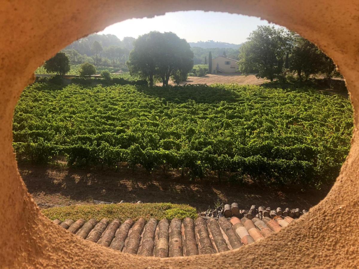 Domaine Du Clos D'Alari-Chambres D'Hotes Au Milieu Des Vignes Saint-Antonin-du-Var Eksteriør bilde