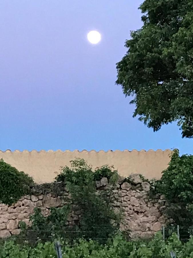 Domaine Du Clos D'Alari-Chambres D'Hotes Au Milieu Des Vignes Saint-Antonin-du-Var Eksteriør bilde