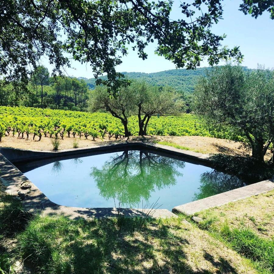 Domaine Du Clos D'Alari-Chambres D'Hotes Au Milieu Des Vignes Saint-Antonin-du-Var Eksteriør bilde