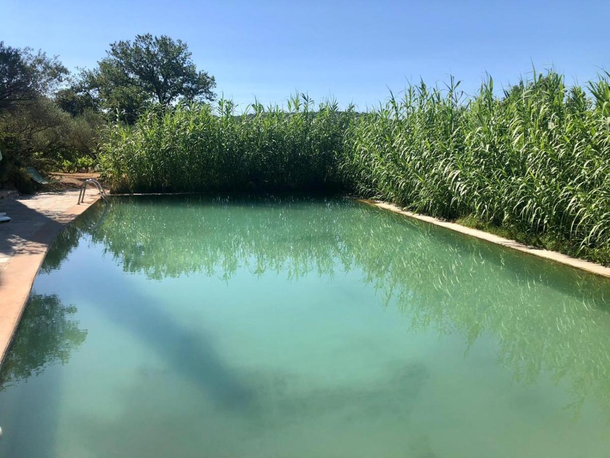 Domaine Du Clos D'Alari-Chambres D'Hotes Au Milieu Des Vignes Saint-Antonin-du-Var Eksteriør bilde