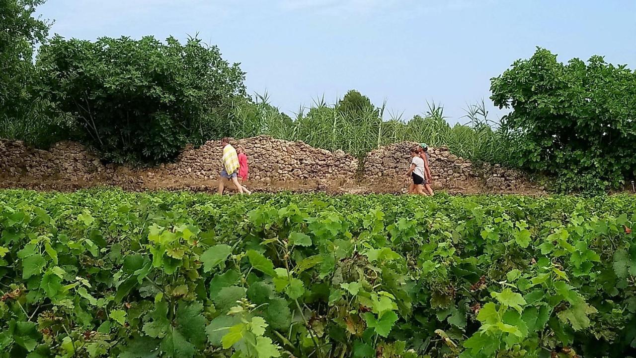 Domaine Du Clos D'Alari-Chambres D'Hotes Au Milieu Des Vignes Saint-Antonin-du-Var Eksteriør bilde