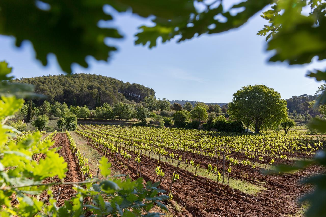Domaine Du Clos D'Alari-Chambres D'Hotes Au Milieu Des Vignes Saint-Antonin-du-Var Eksteriør bilde